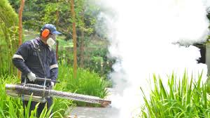 Best Organic or Eco-Friendly Pest Control  in Covgton, IN